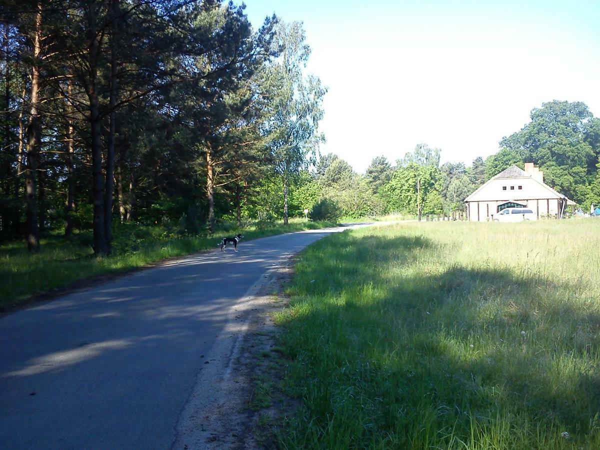 Ferienwohnungen 3 Birken Briesen  Экстерьер фото